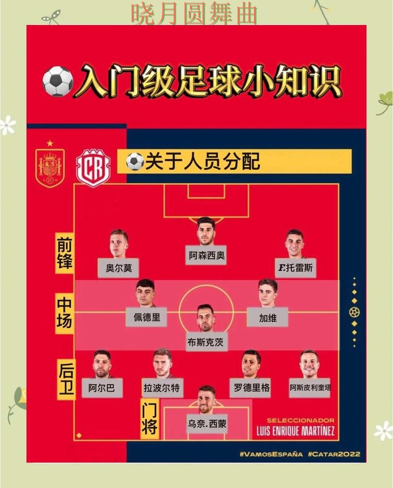 世界杯买球登录新手入门规则解析详细解析